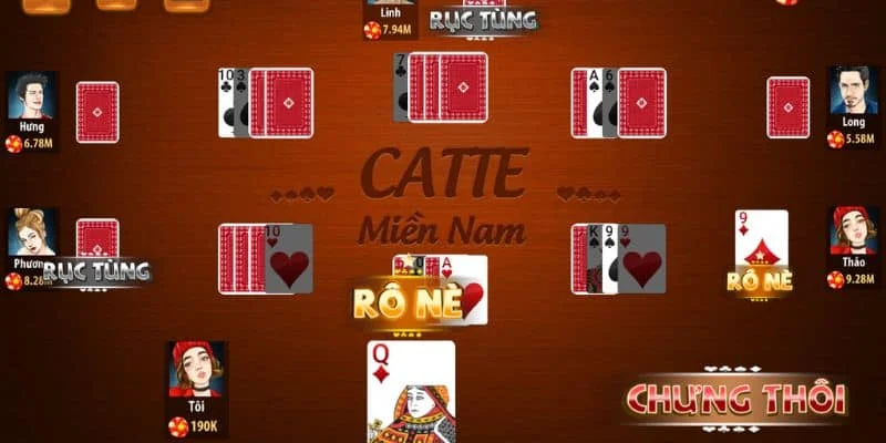 Thuật ngữ bài Catte cơ bản Thuật ngữ bài Catte cơ bản