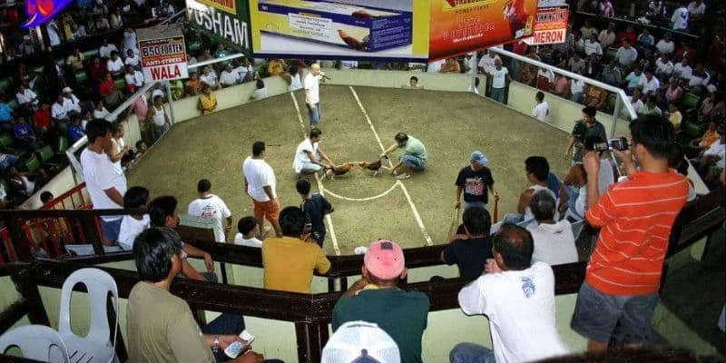 Chọn trận chiến mà bản thân yêu thích và đặt cược Chọn trận chiến mà bản thân yêu thích và đặt cược