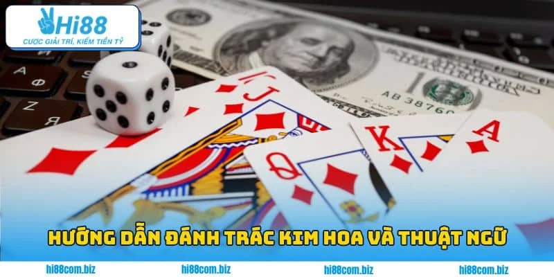Hướng dẫn đánh Trác Kim Hoa và thuật ngữ cần biết Hướng dẫn đánh Trác Kim Hoa và thuật ngữ cần biết